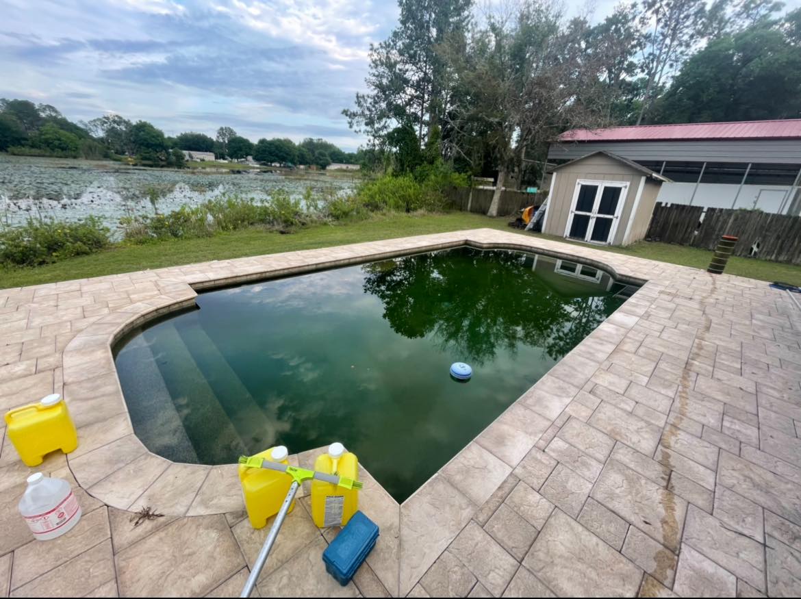 Dirty Pool | Wesley Chapel, FL | Calta's Clear Pools