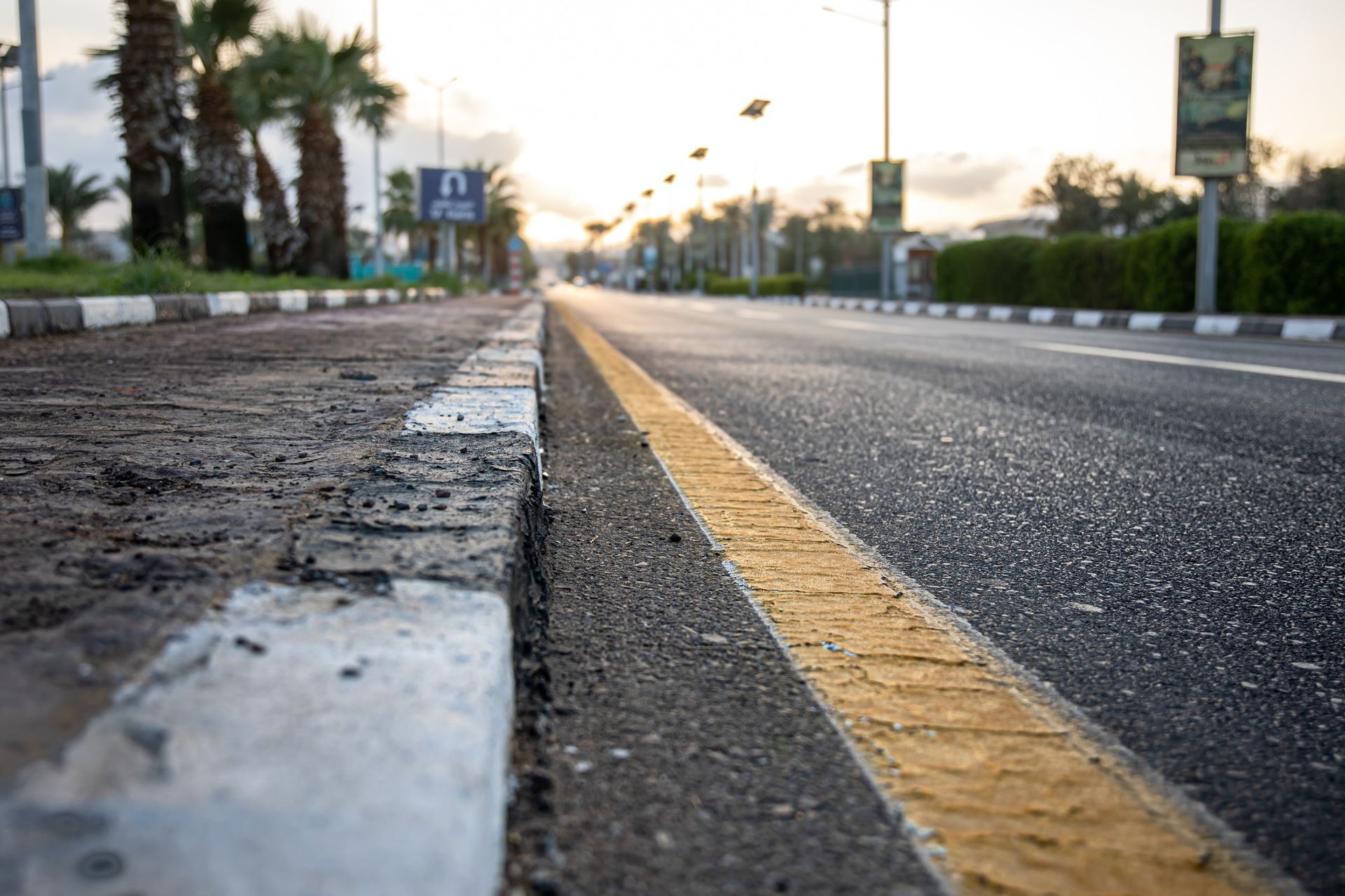 Roadside view of an asphalt road with a yellow line, curb, and palm trees in the background.