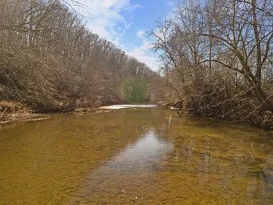 A small river surrounded by trees on a sunny day.