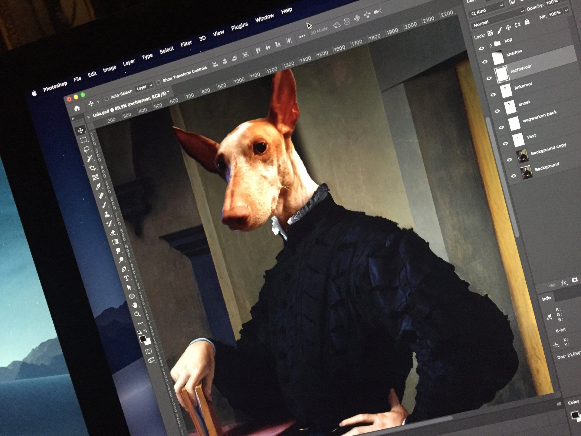 beeldmanipulatie en kleurcorrectie