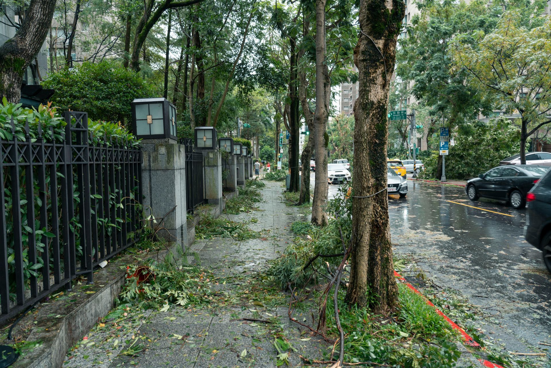 A sidewalk strewn with debris and fallen leaves after a storm, alongside a street with trees and parked cars.