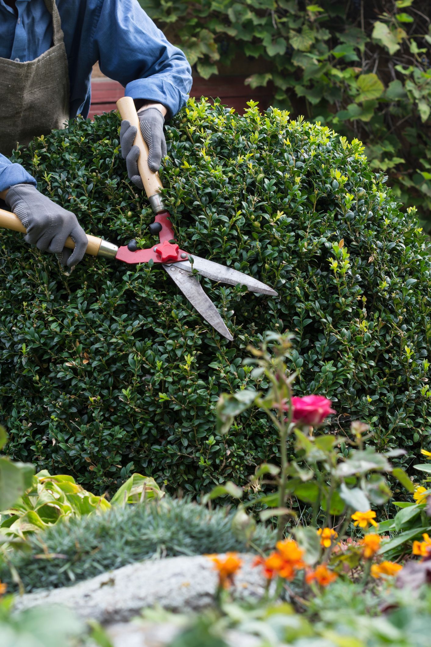 A man and a woman are cutting a tree with a chainsaw.