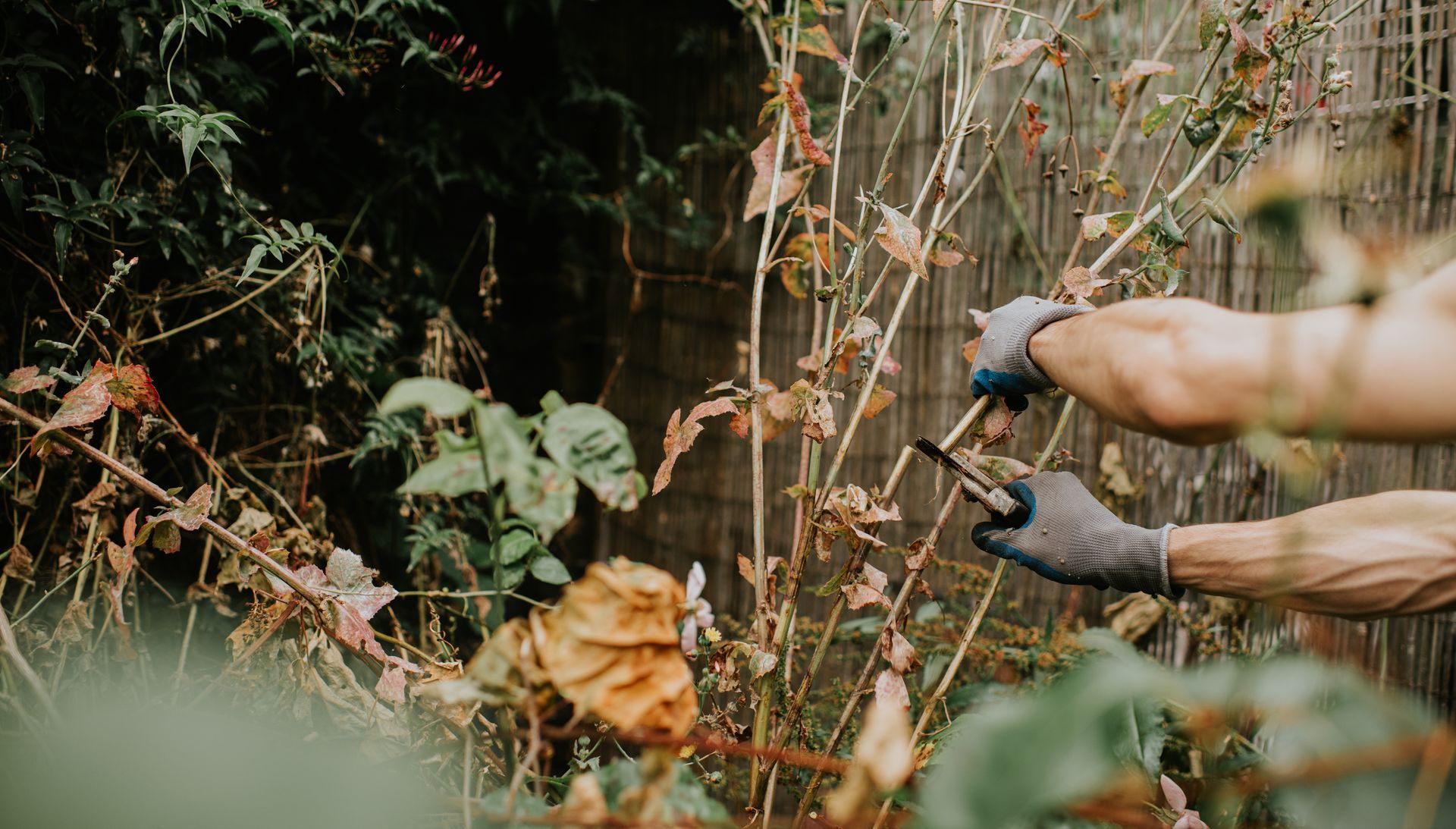 A person is raking leaves in a pile with a rake.