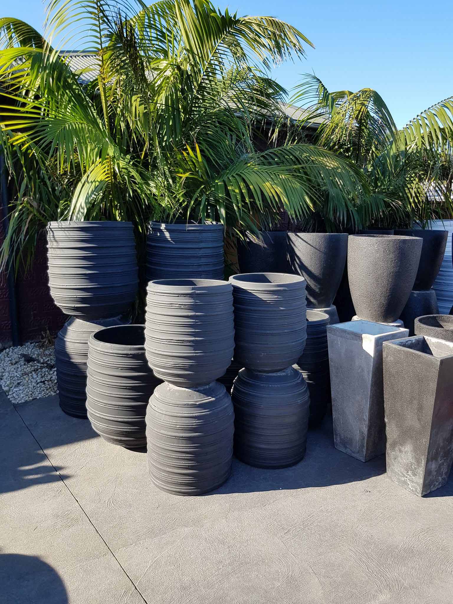 Pots and coconut like plants