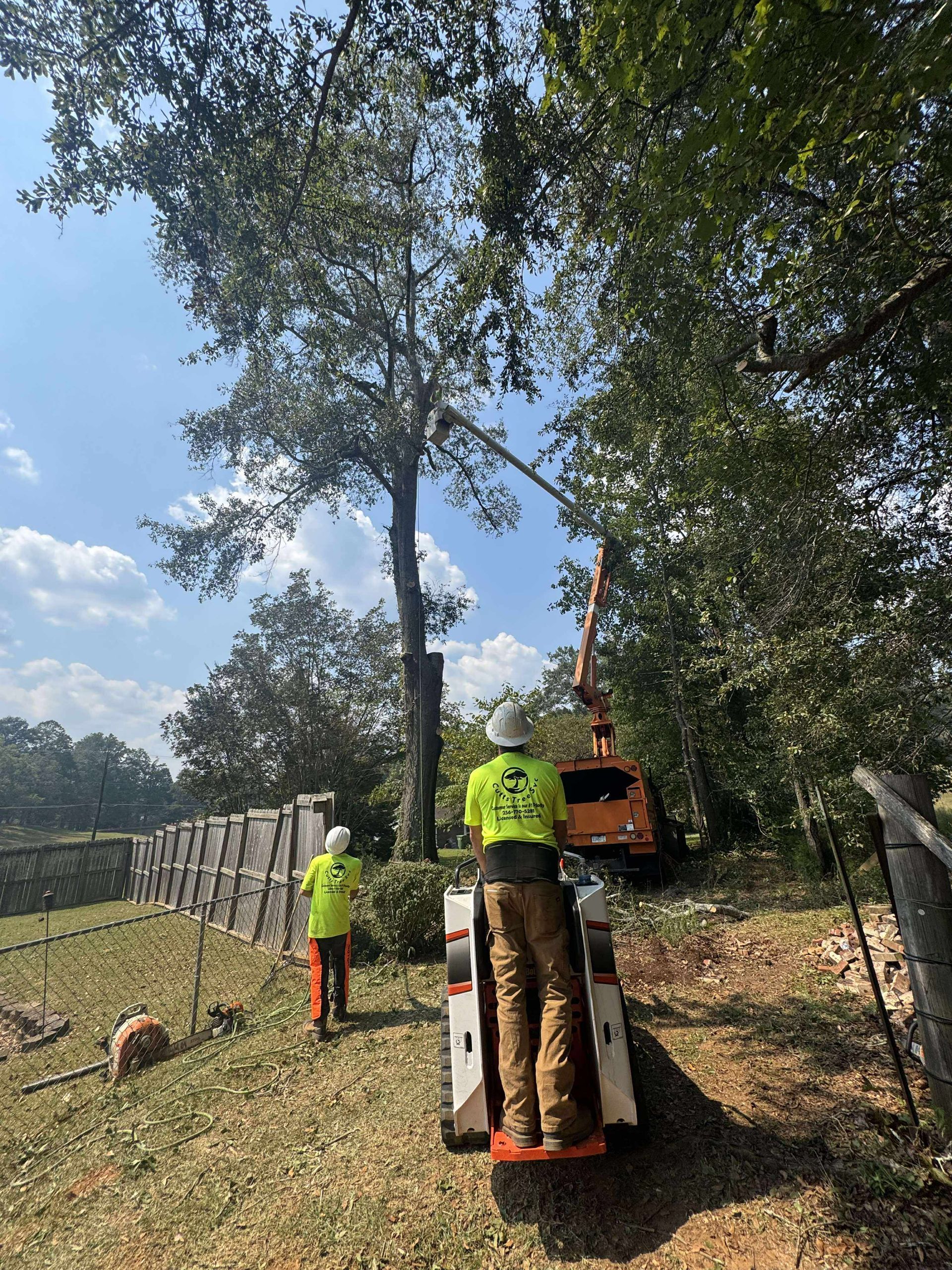 Tree being trimmed by workers using machinery; sunny outdoor setting.