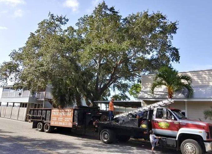 A truck is parked in front of a building with a tree in the background.