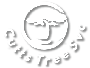 white Cutts Tree Service logo with shadow