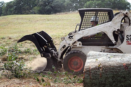 Bobcat skid-steer with grapple attachment cutting branches in a field, a tree trunk in the foreground.