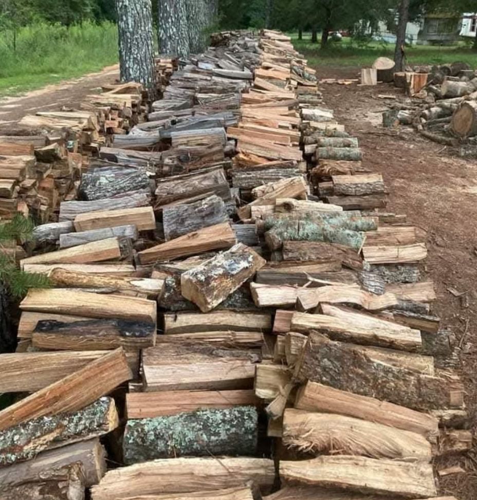 Pile of stacked firewood on a dirt ground beside trees.