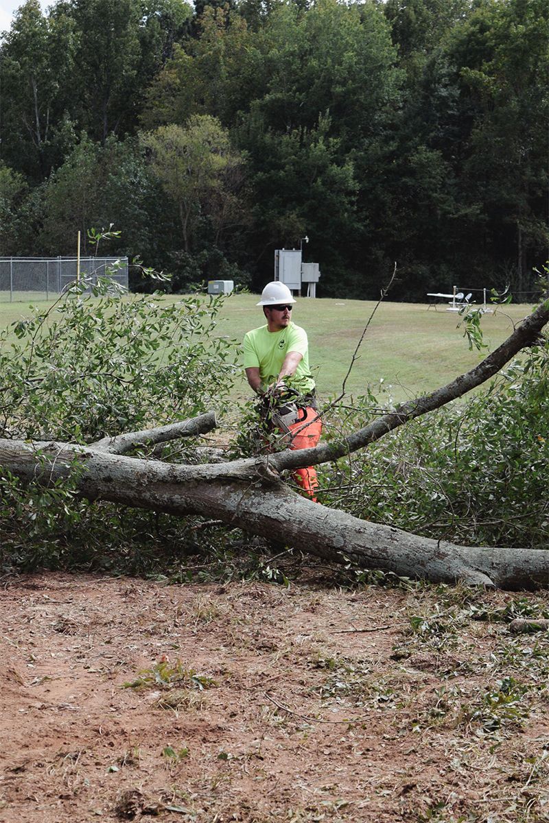 Person in hard hat cutting a tree branch with a chainsaw outdoors; green shirt, safety gear.
