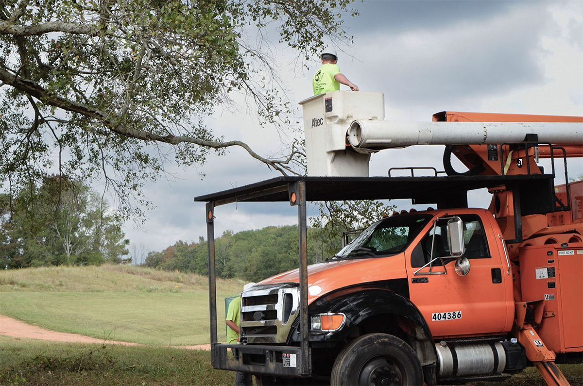 Orange truck with lift, worker in bucket trimming tree branches against overcast sky.