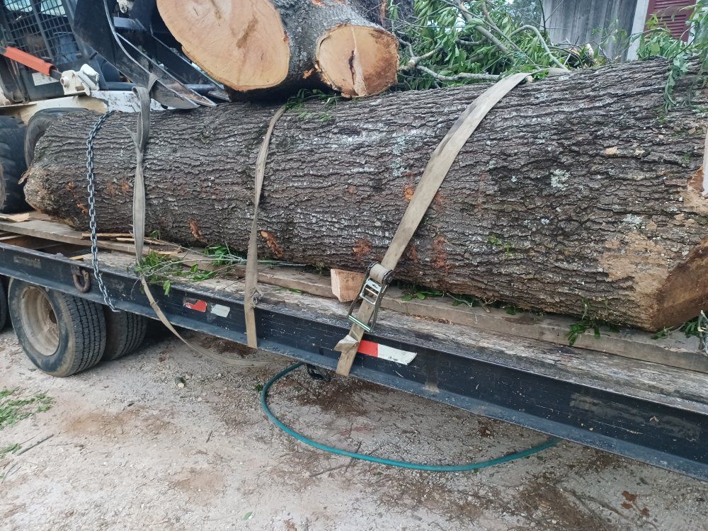 A large log is sitting on top of a trailer.