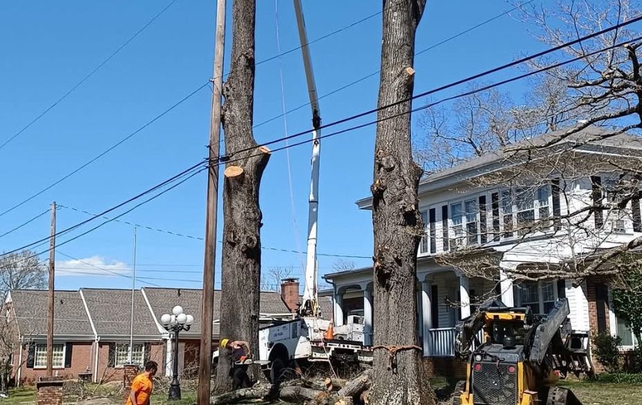 Tree trimming near power lines. A truck with a crane and workers on the ground. Blue sky and houses in the background.