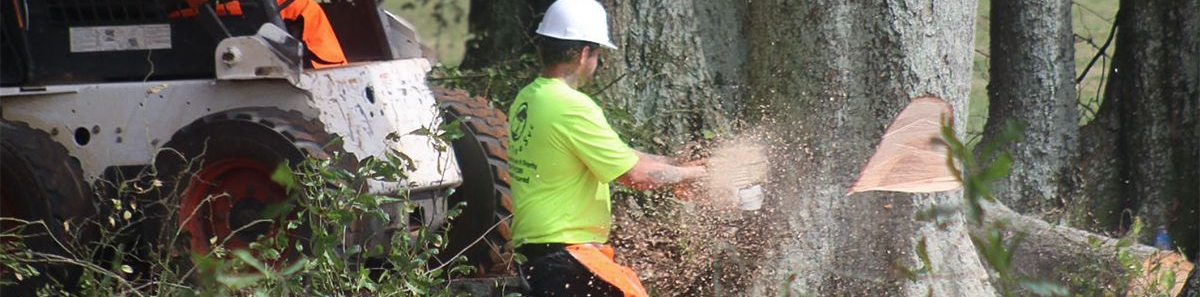 Person using an orange chainsaw to cut through a tree trunk, creating sawdust.