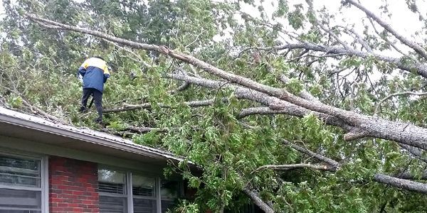 A man is standing on the roof of a house next to a fallen tree.