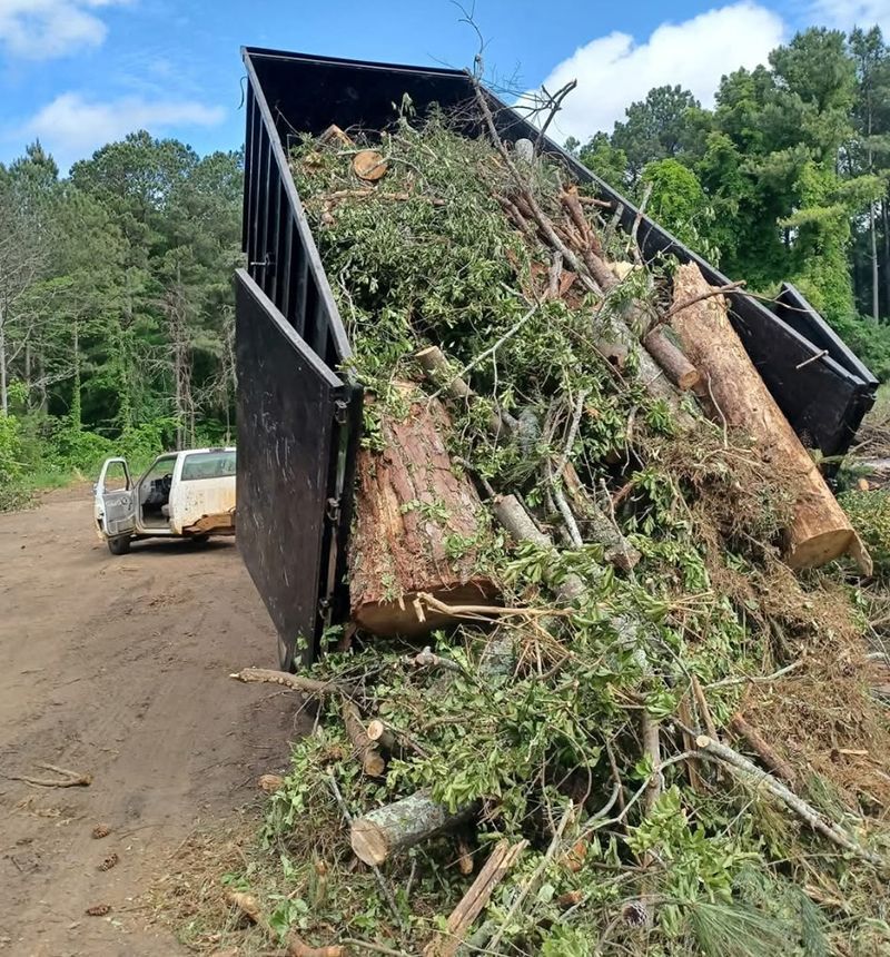 A truck bed overflowing with tree branches and logs, dumped on a dirt road. A white truck is parked beside it.