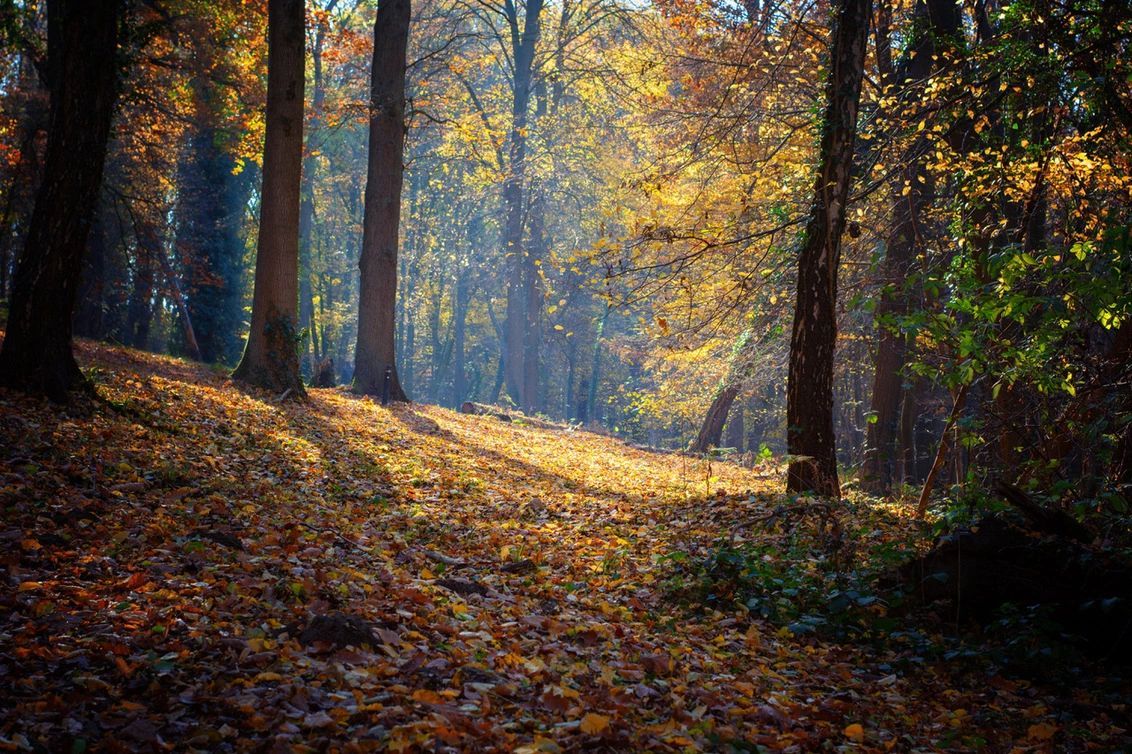 Donkergrijze Lamborghini Urus SUV op een weg met bergen op de achtergrond.