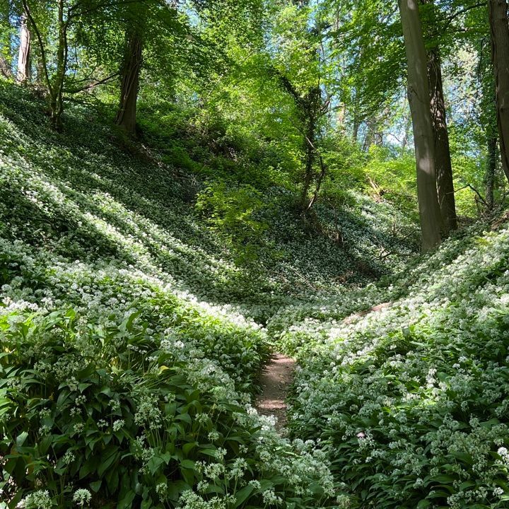 Donkergrijze Lamborghini Urus SUV op een weg met bergen op de achtergrond.
