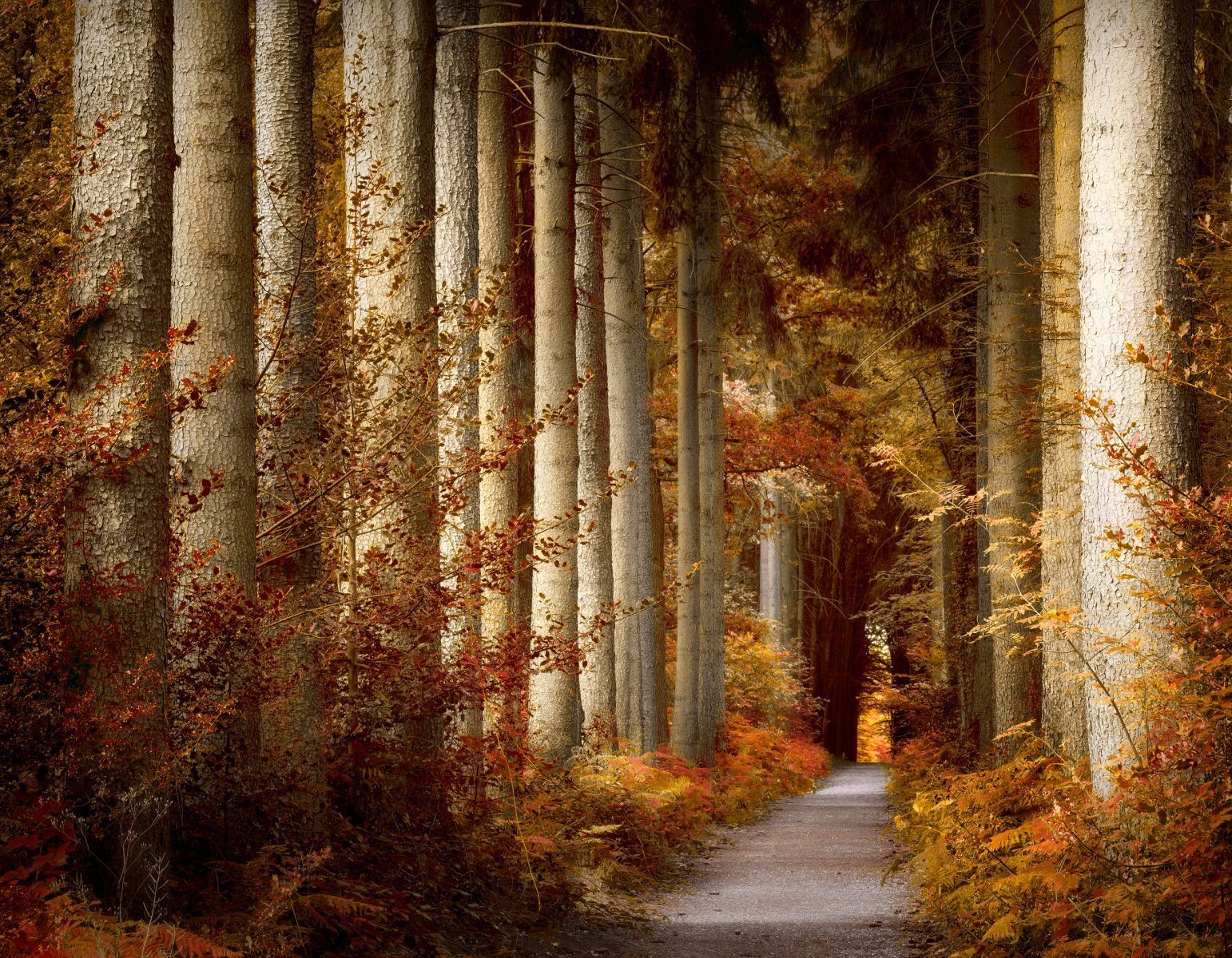 Een SUV rijdt over een kronkelende weg door bruine, glooiende heuvels onder een bewolkte hemel.