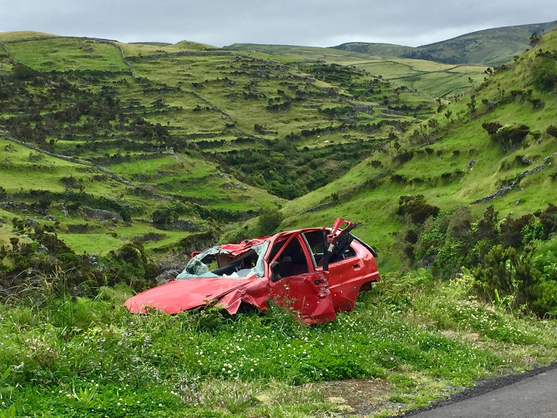 Red car wrecked in green grassy landscape.