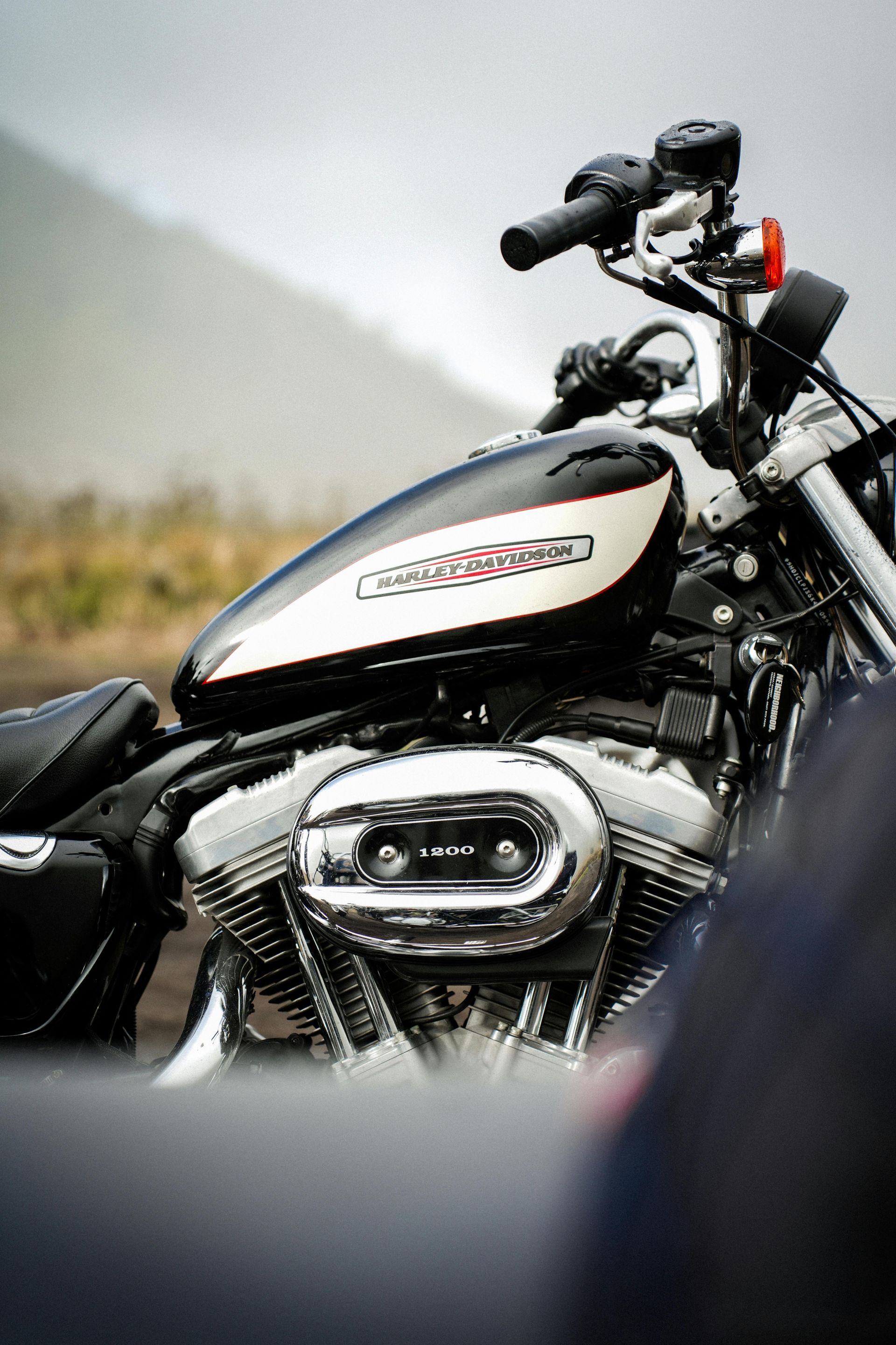 Black and white Harley-Davidson motorcycle with chrome engine, parked outdoors on a foggy day.