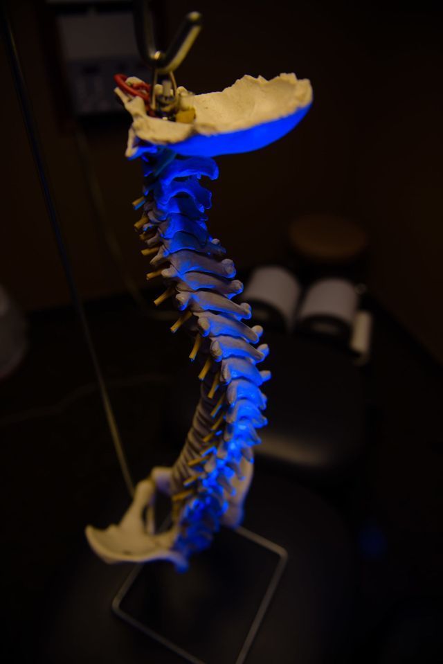 Spinal Cord — Grand Island, NE — Choice Care Chiropractic