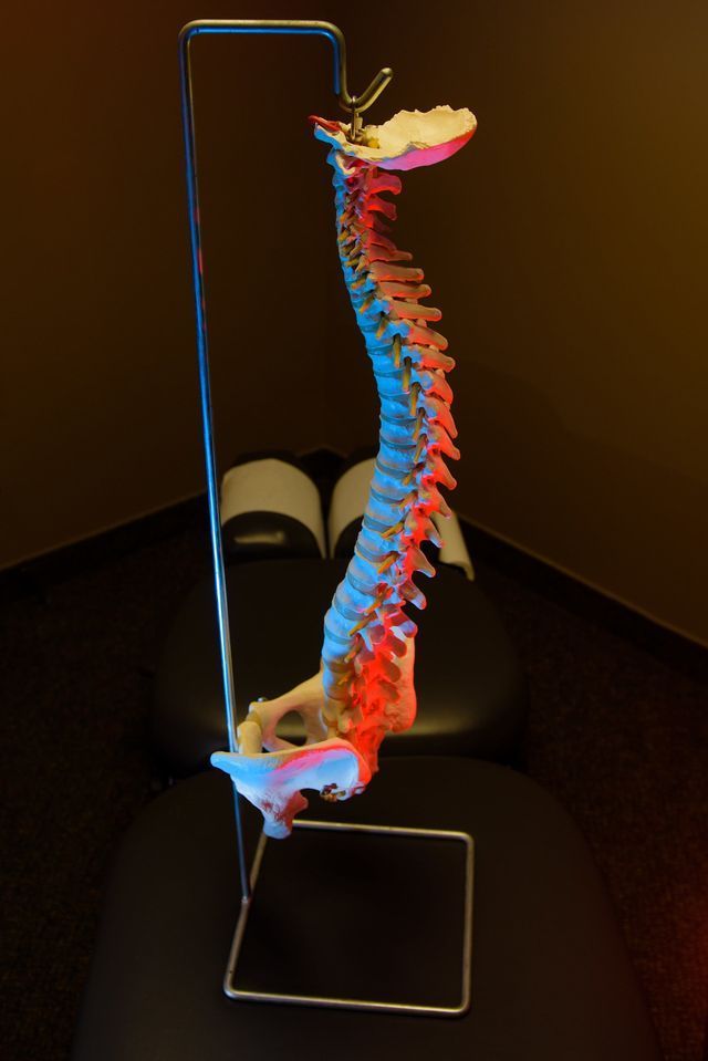 Vertebral Column Spinal Cord — Grand Island, NE — Choice Care Chiropractic