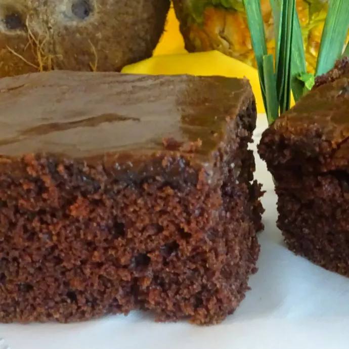 Two pieces of chocolate cake on a white plate
