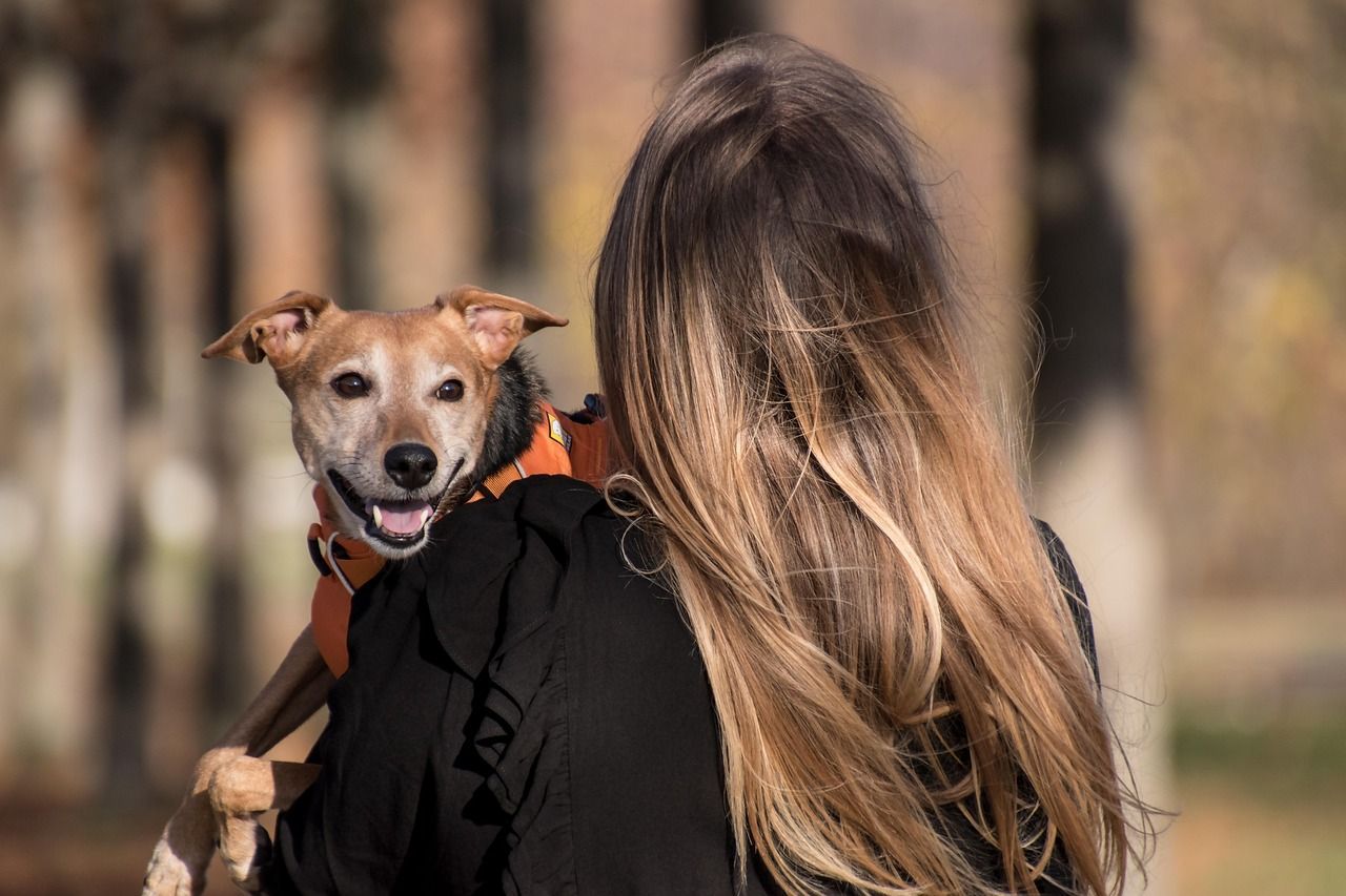 A woman is holding a small dog in her arms.