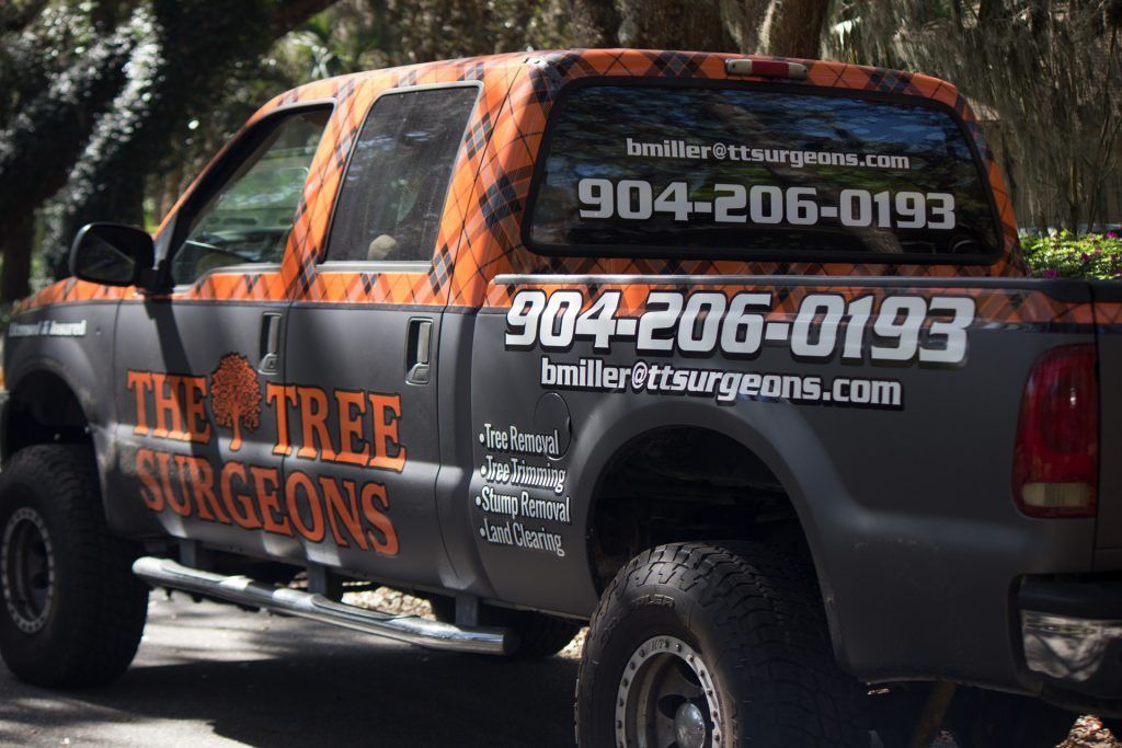 A truck that says the tree surgeons on it.