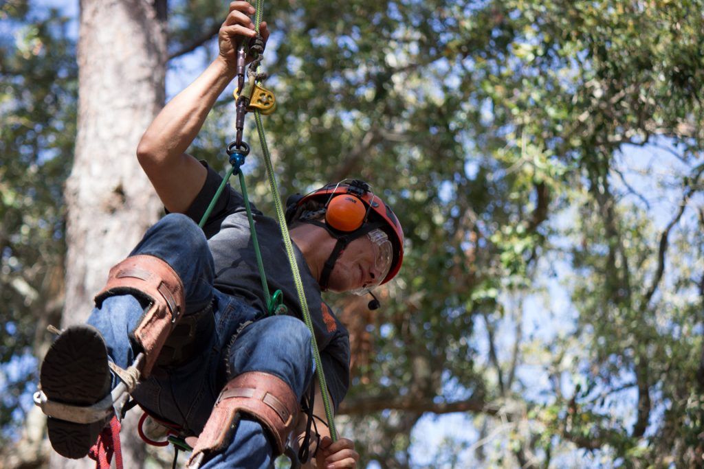 A man is climbing a tree wearing a helmet and headphones.