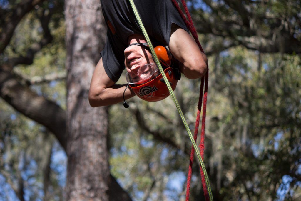 A man is hanging upside down from a tree wearing a helmet.