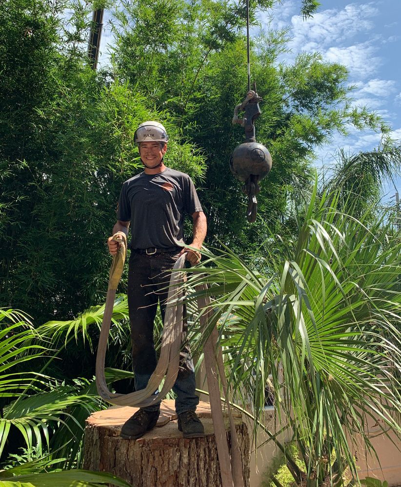A man is standing on top of a tree stump holding a rope.