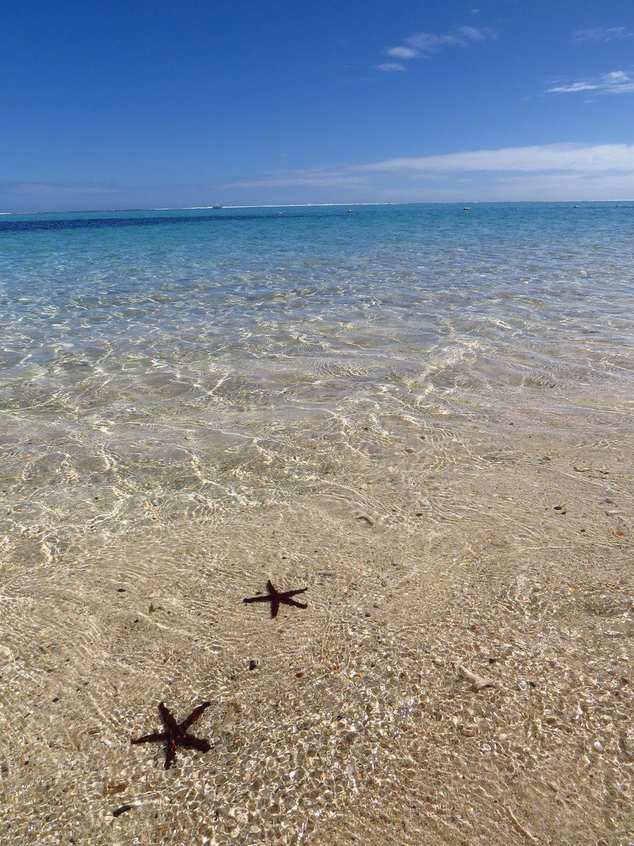 Two starfish on a sandy beach, crystal-clear water, and a blue sky.