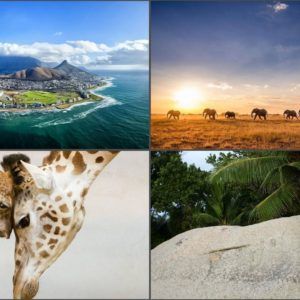 Coastal cityscape, savanna with elephants, giraffe, and tropical rock and foliage.