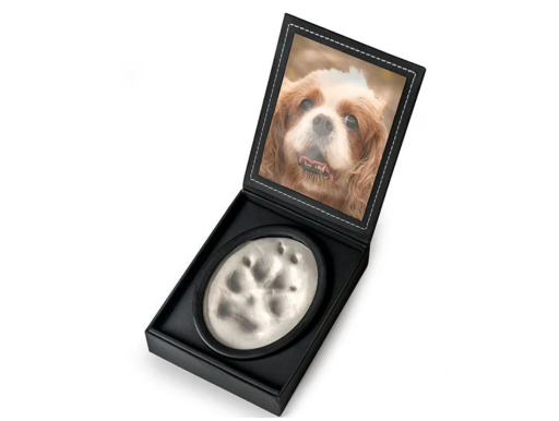 Individual pet cremation