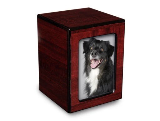 Private pet cremation
