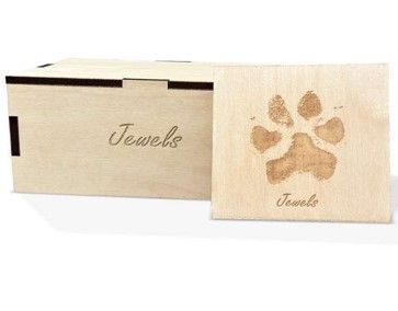 Pet Cremation Services