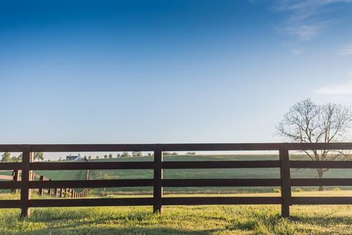 A wooden fence surrounds a grassy field with a blue sky in the background.