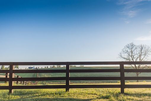 A wooden fence surrounds a grassy field with a blue sky in the background.