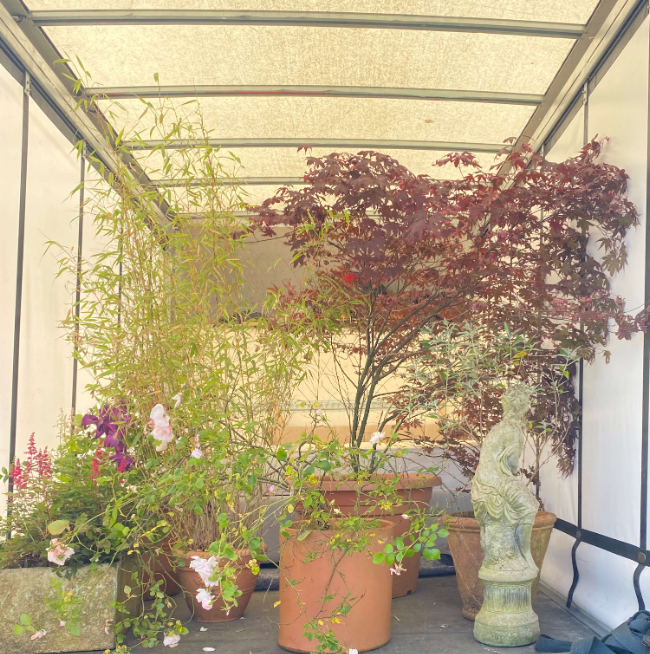 We move long, tall, heavy plants. 