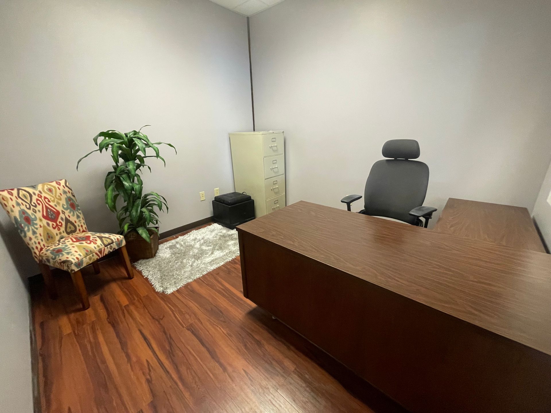 Office with brown desk, chair, patterned chair, plant, rug, safe, and wooden floor.