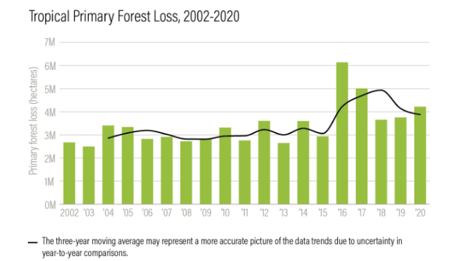 Tropical Primary Forest Loss, 2002-2020