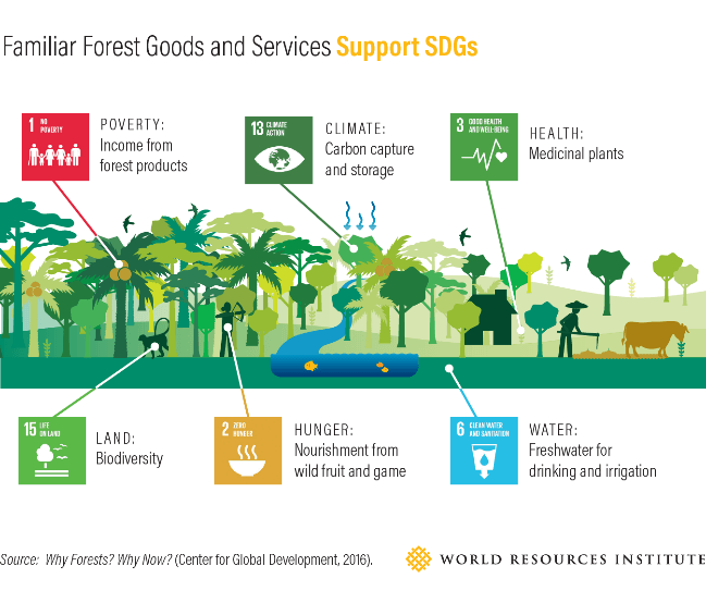 Familiar Forest Goods and Services Support SDGs