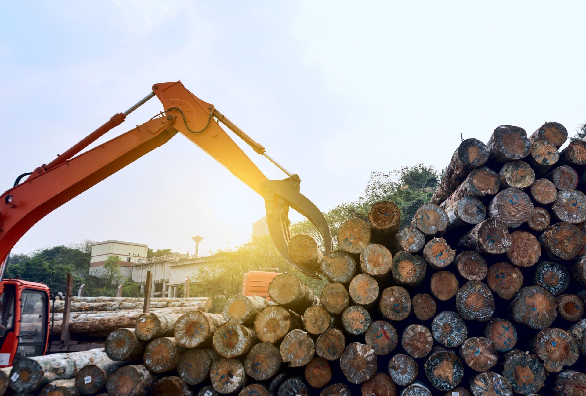 Wood Processing