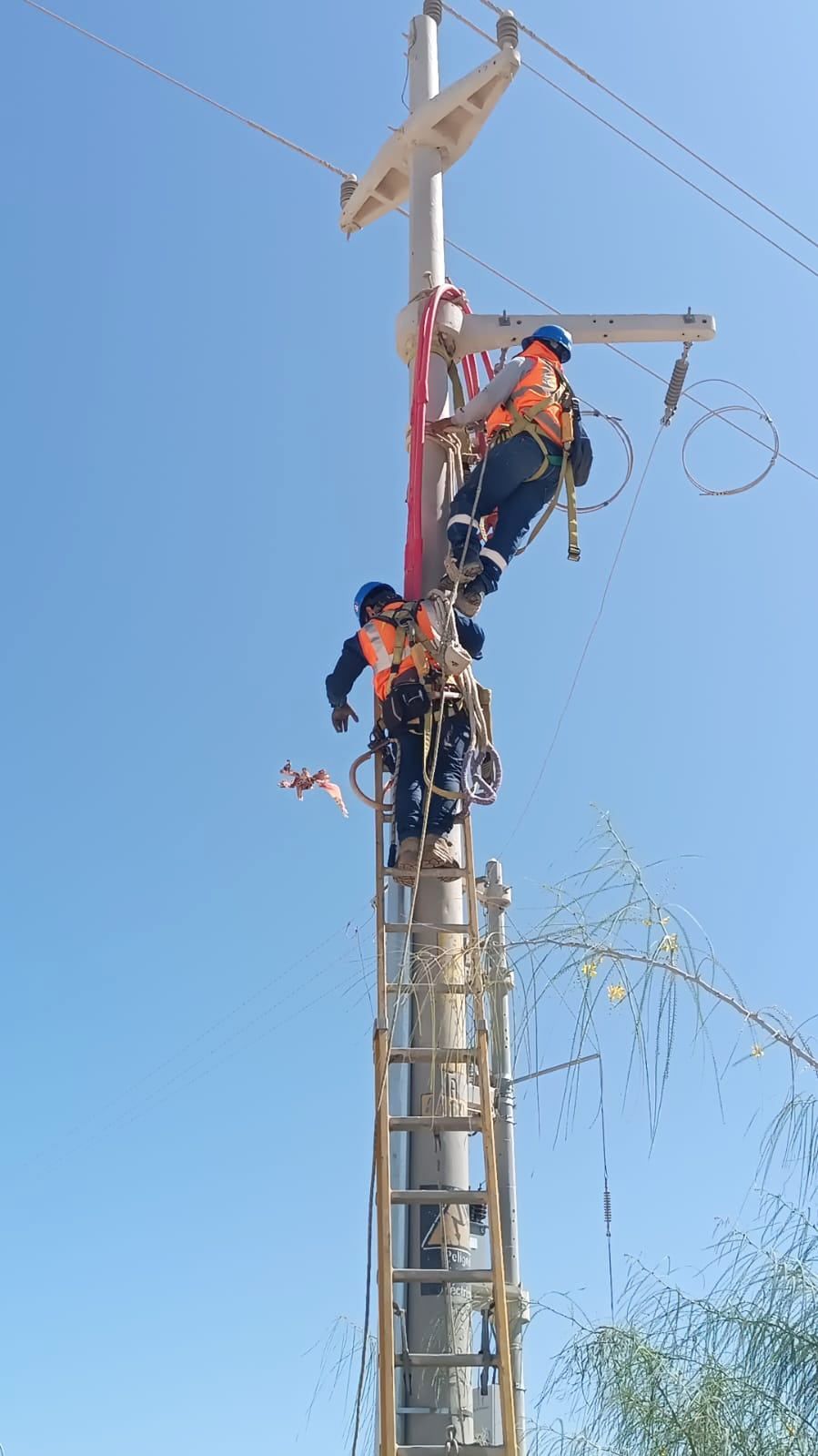 Dos hombres están trabajando en un poste telefónico con un cielo azul de fondo.