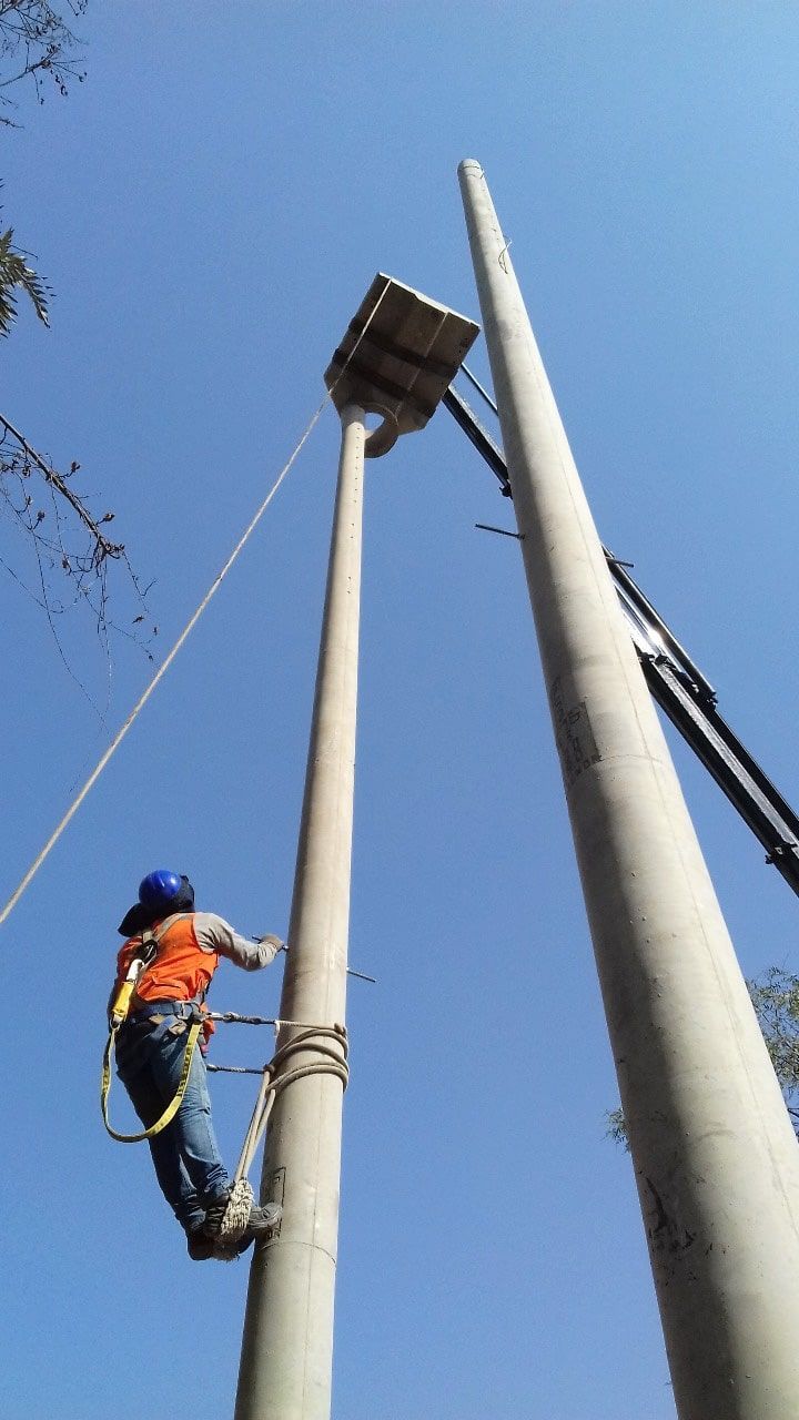 Un hombre está trepando un poste con una cuerda atada a él.