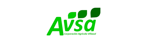 Un logotipo verde y blanco para avsa sobre un fondo blanco.