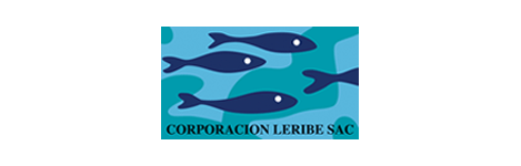 Un grupo de peces azules nadan en el agua.