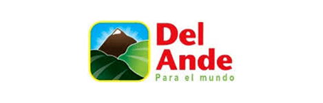 Un logotipo para Del Ande para el Mundo con una montaña al fondo.
